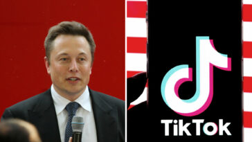 Elon Musk Buy TikTok