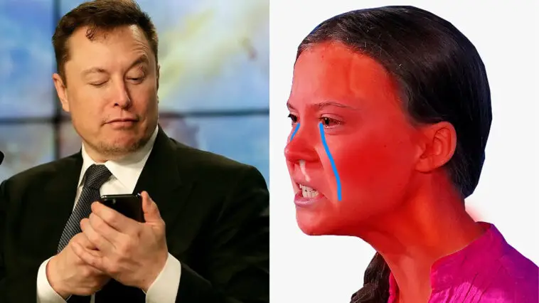 Elon Musk Greta Thunberg Twitter