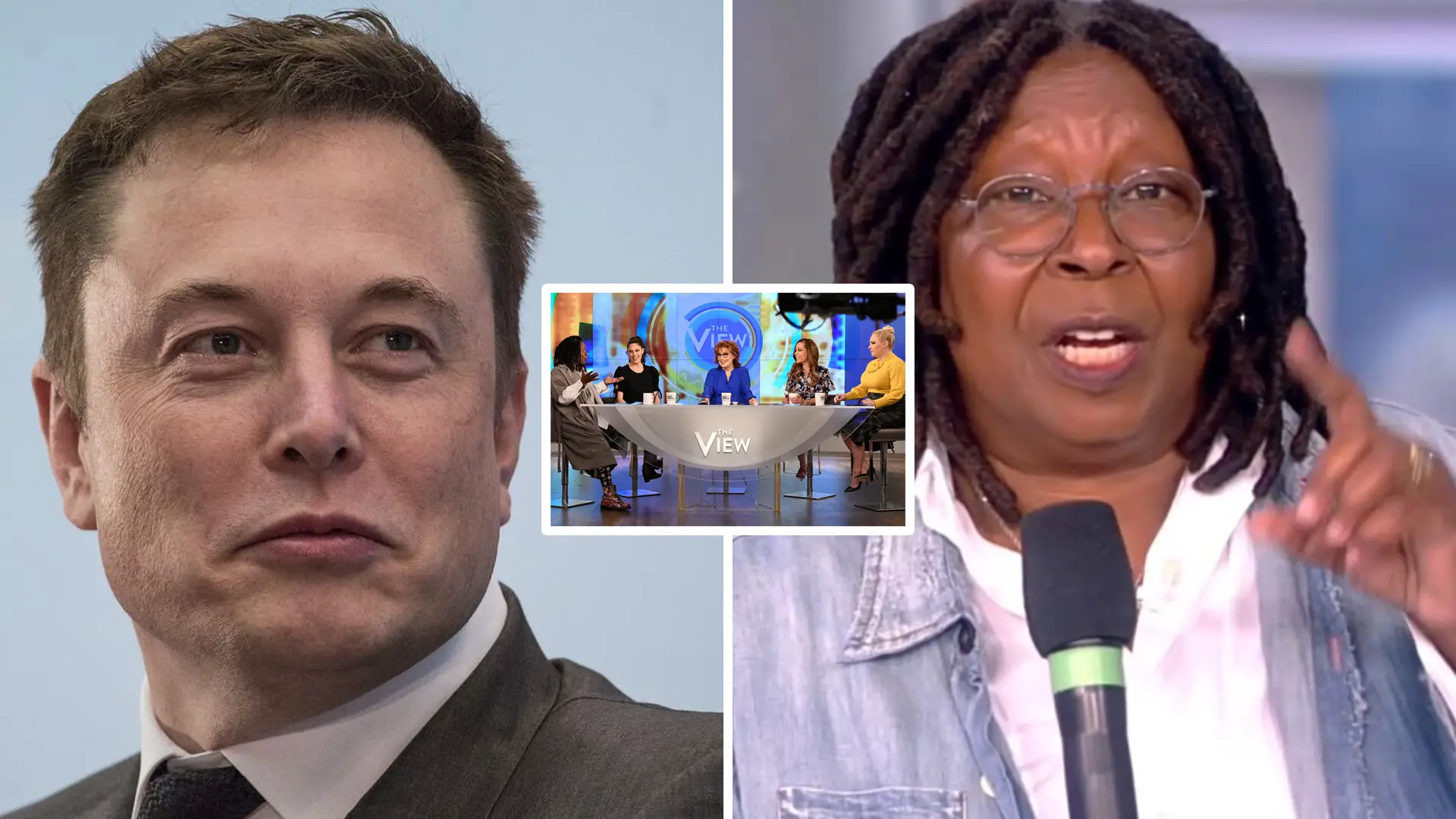 Elon Musk The View Rating Down
