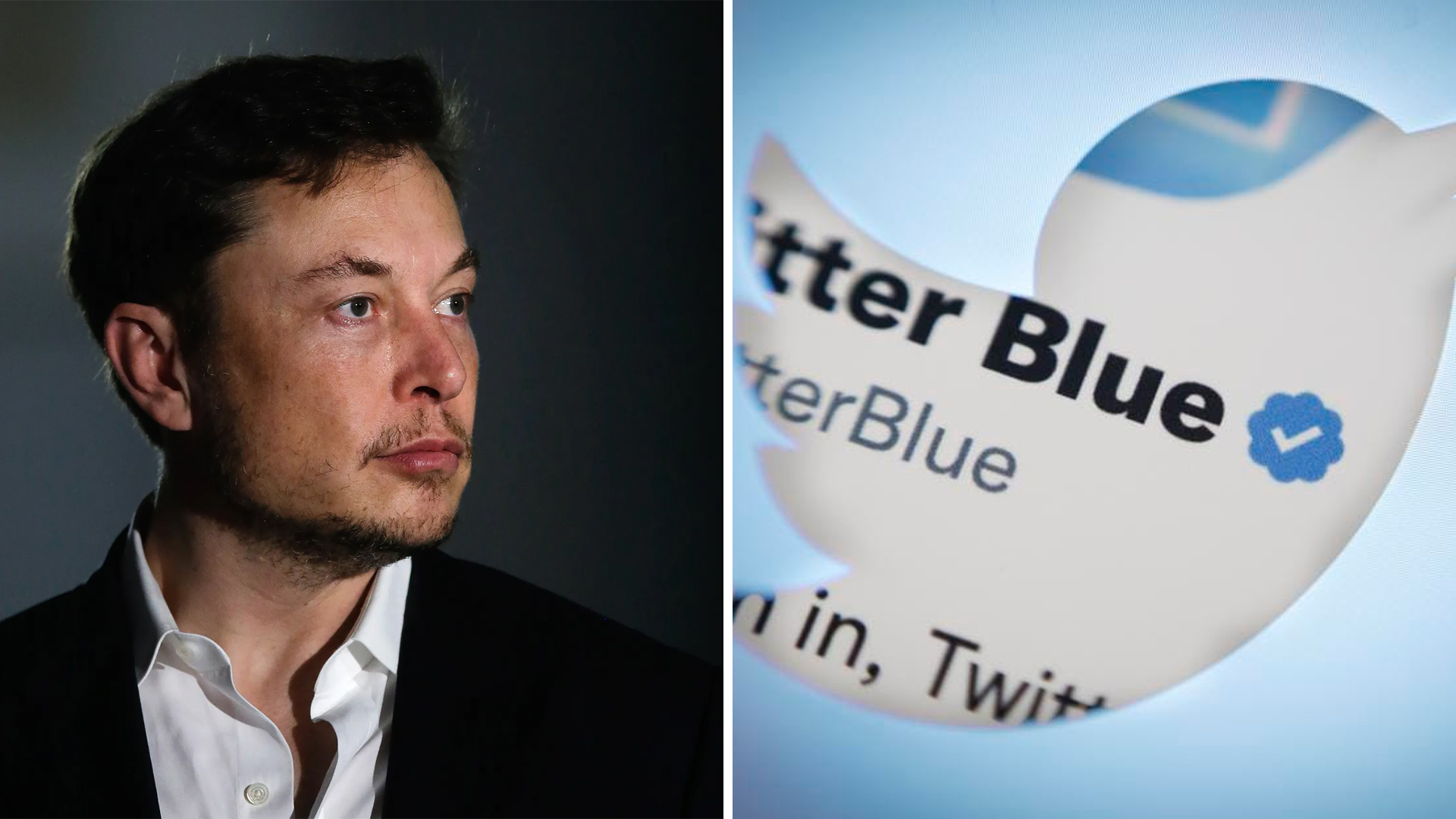 Elon Musk Twitter Blue