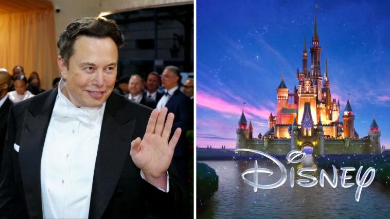 Elon Musk buy Disney