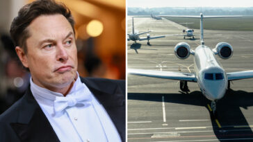Elon Musk Plane