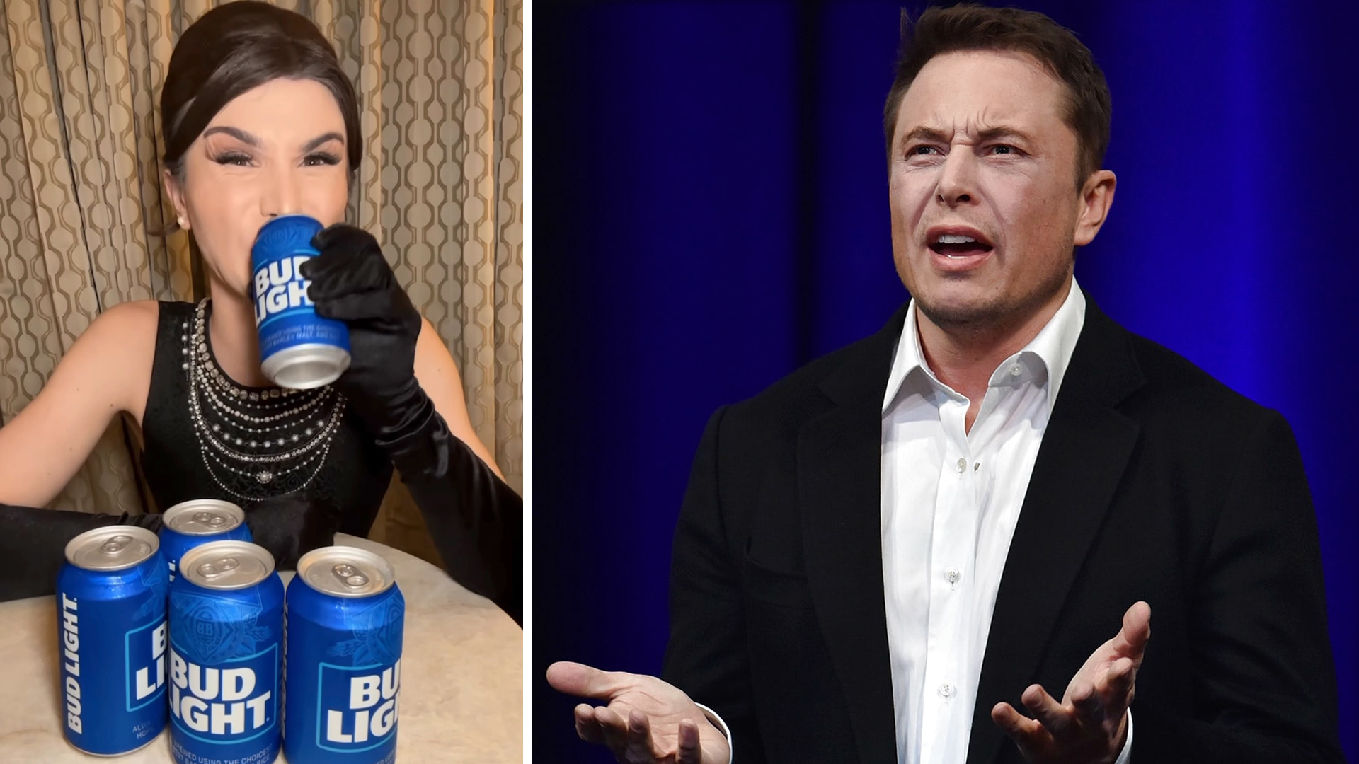 ELon Musk Anheuser Busch