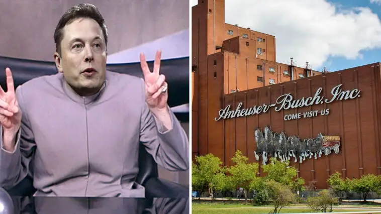 Elon Musk anheuser busch Buy
