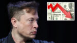 Elon Musk Wealth