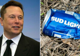 Bud Light's Plea to Elon Musk
