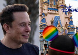 Elon Musk Disney Acquisition