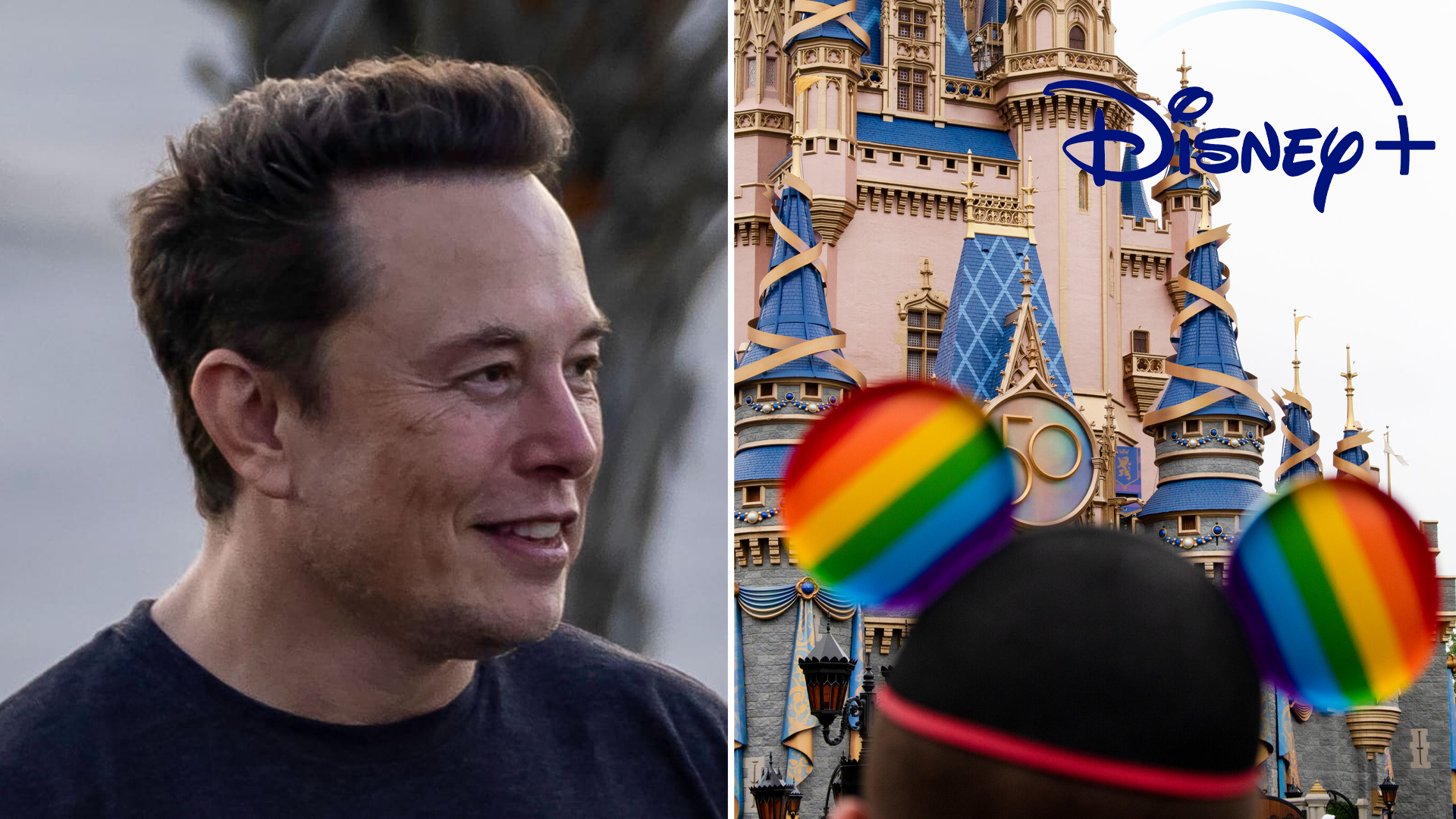 Elon Musk Disney Acquisition