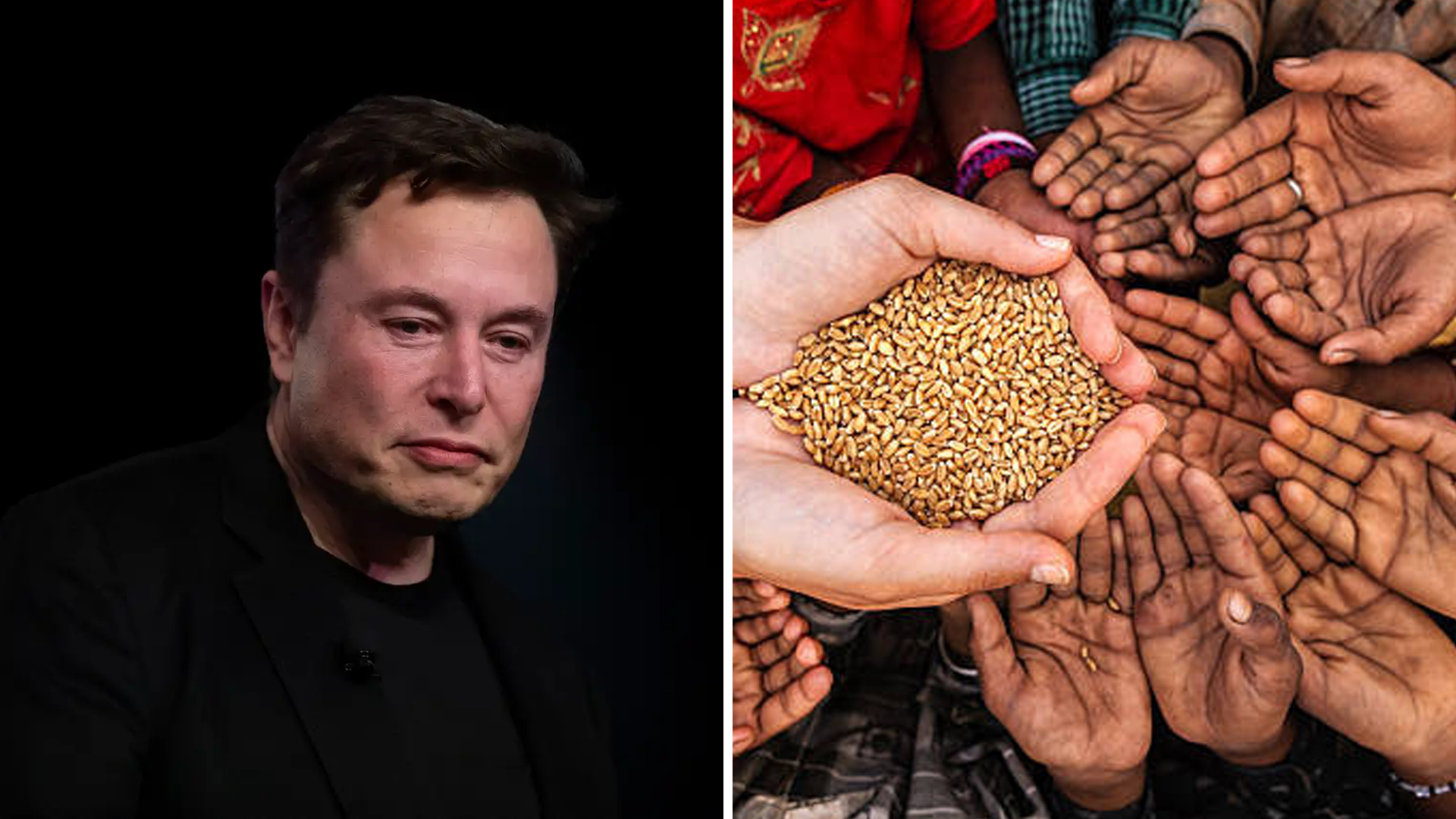 Elon Musk World Hunger