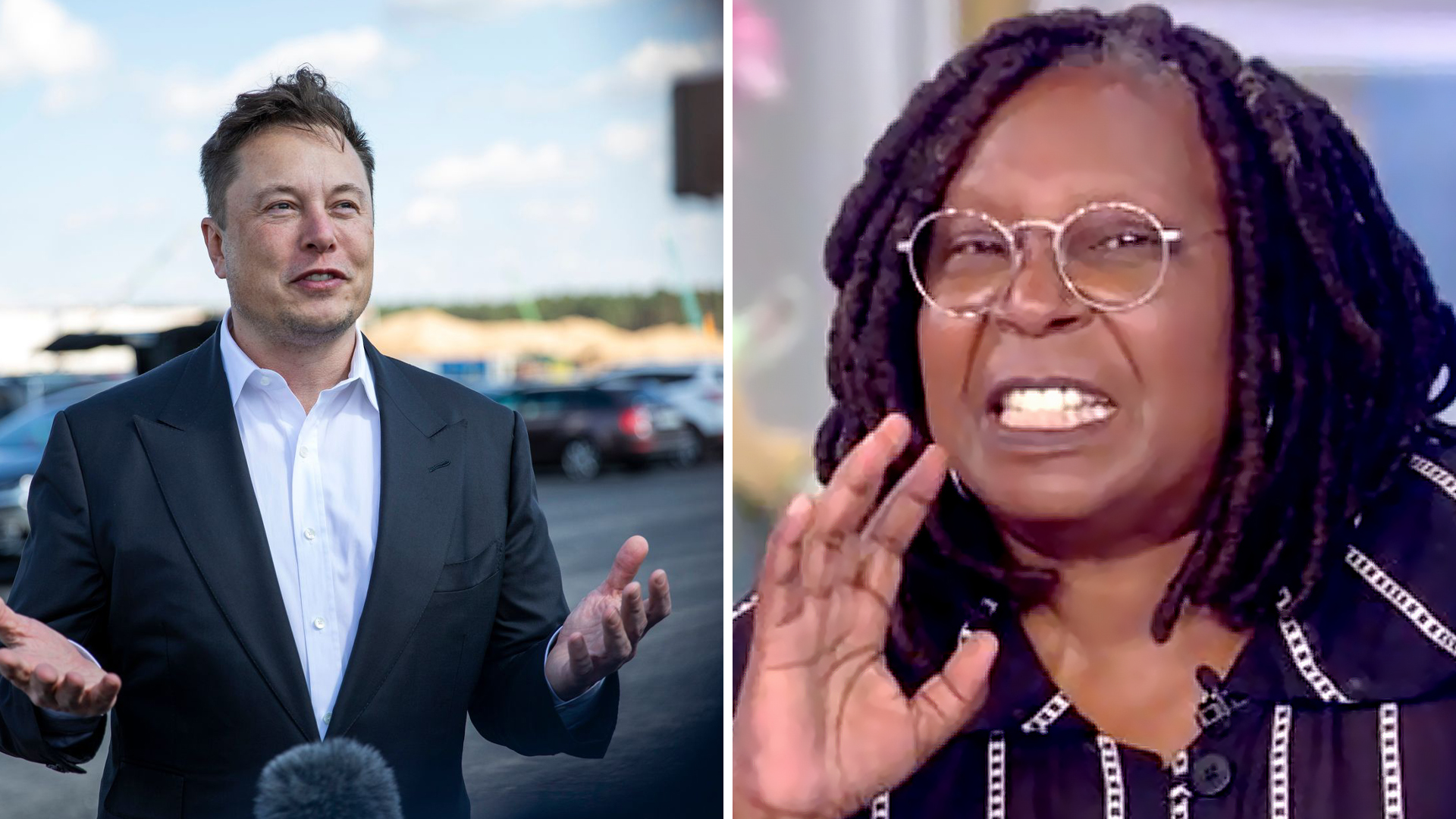 Elon Whoopi Cybertruck