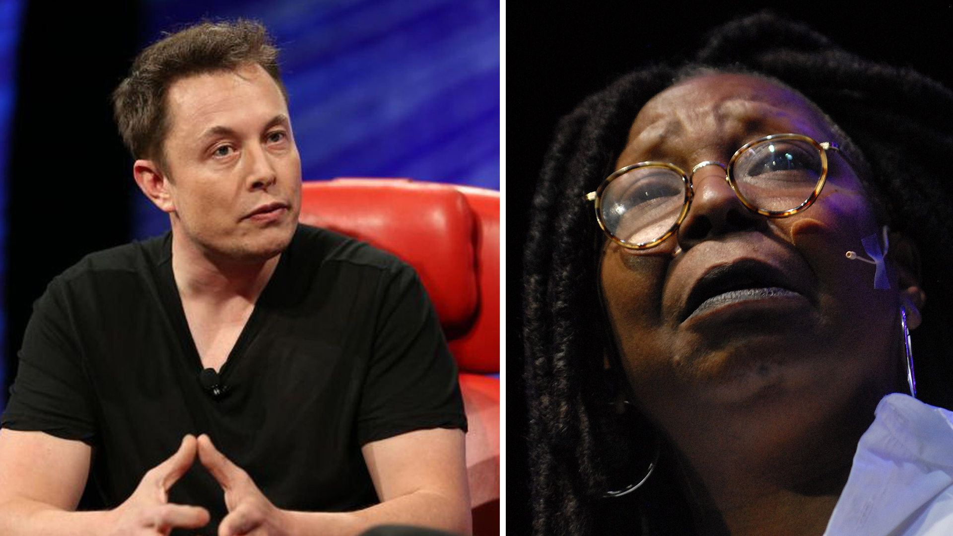 Elon Whoopi Suspension