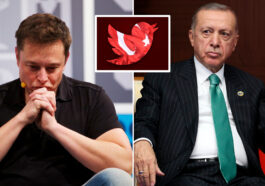 Turkey Censor Elon Musk