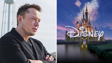 Disney Woke Elon Musk