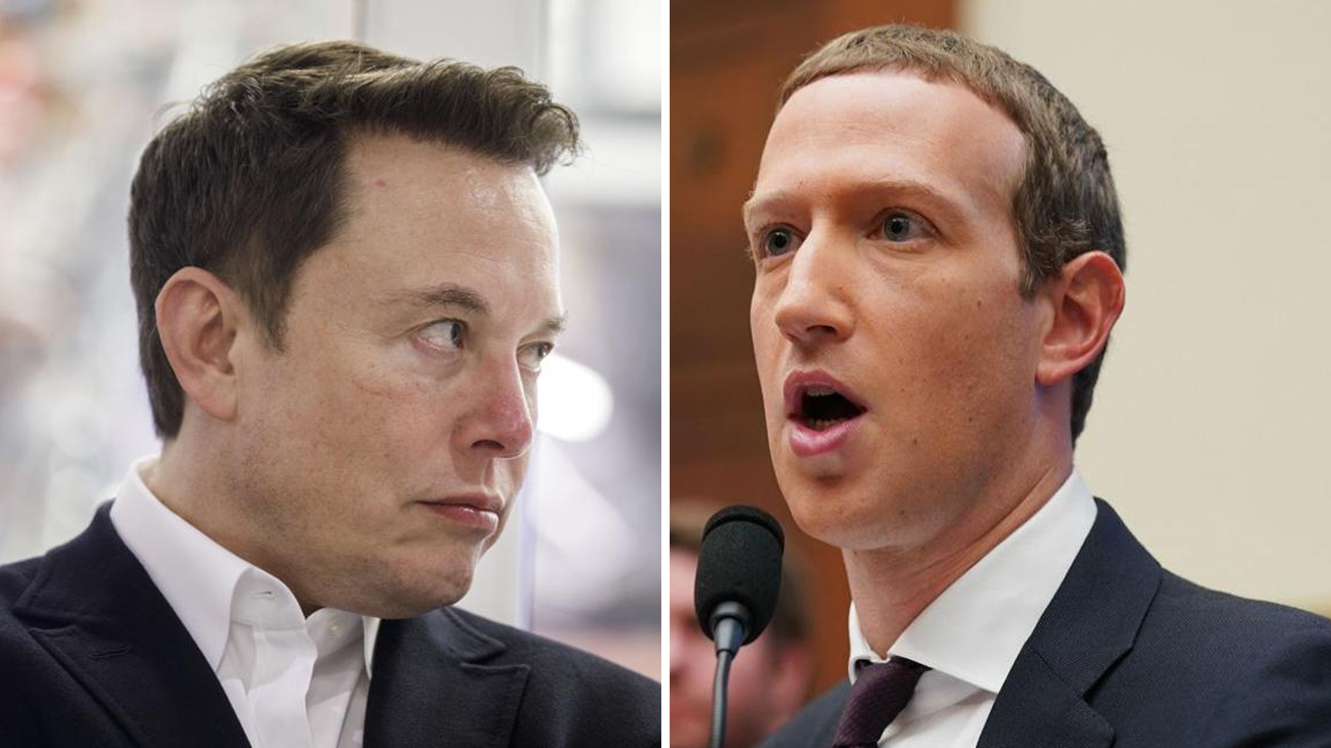 Elon Musk Mark Zuckerberg Intensify Cage Fight