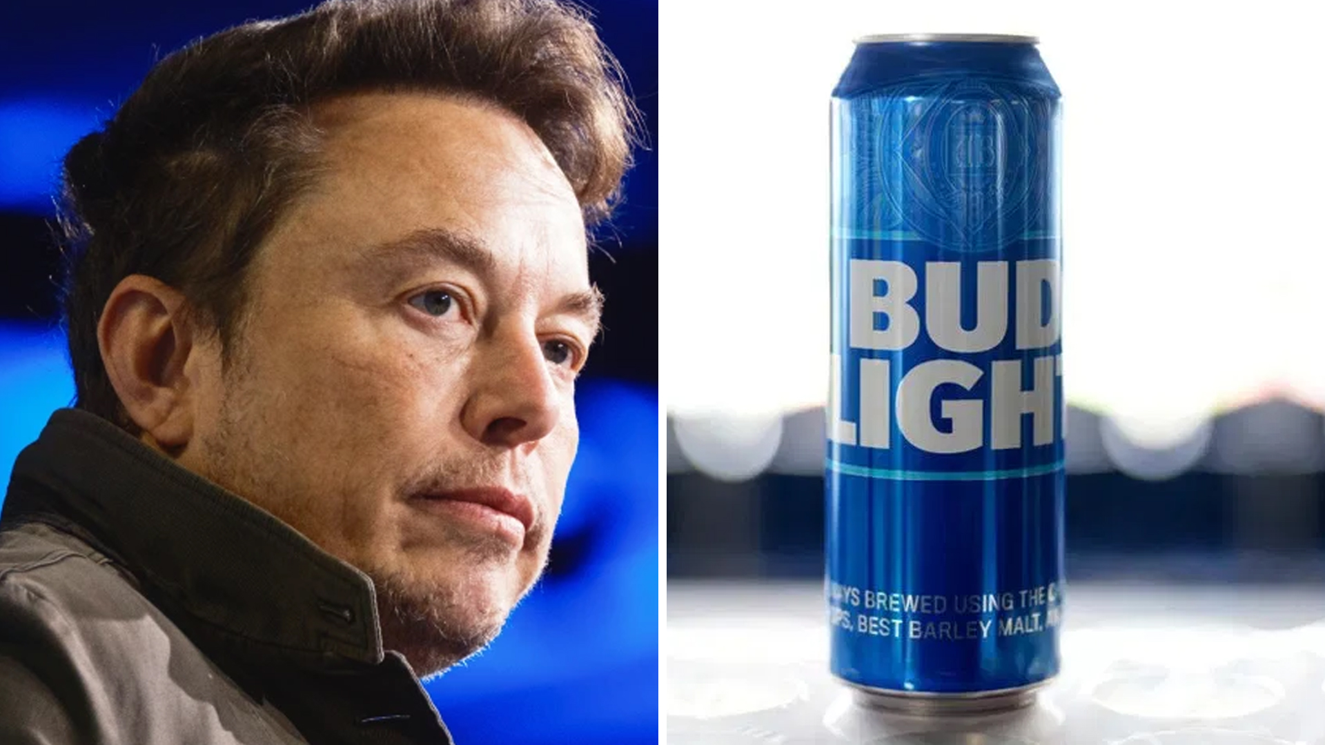 Elon Musk anheuser-busch Bud light