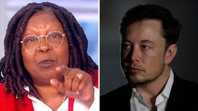 Whoopi Insult Elon On The View