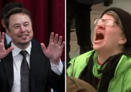 Libs Elon Musk