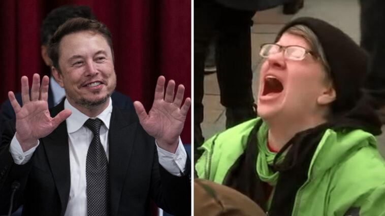 Libs Elon Musk