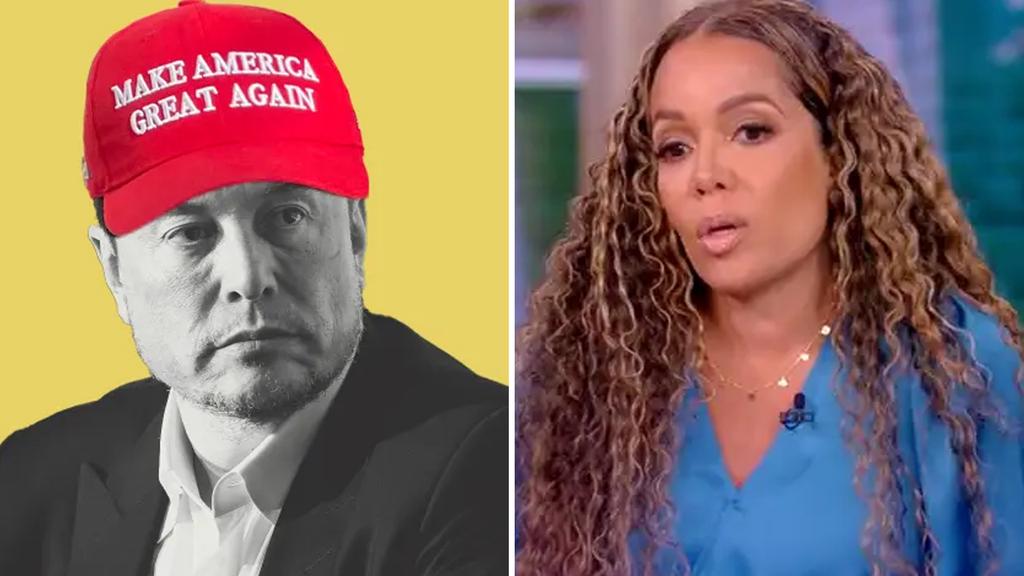 Elon and Sunny Hostin Clash