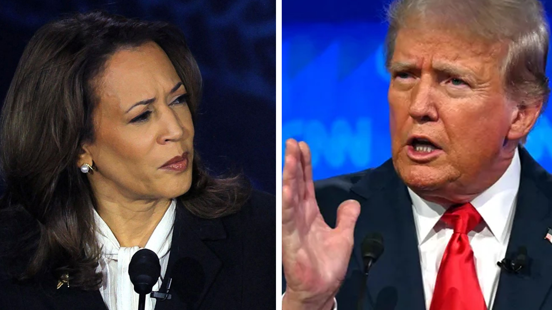 Kamala Didn't Need To Debate Trump. She Had the ABC Moderators Do That For  Her While She Babbled Like An Idiot