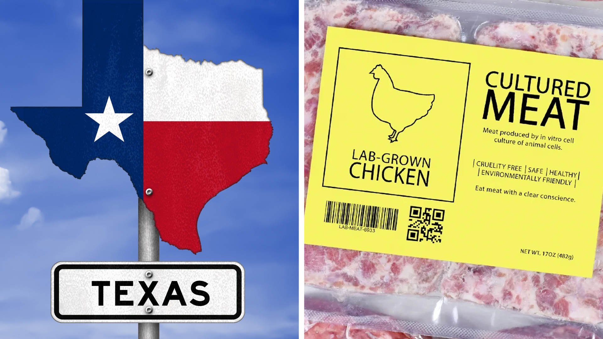 Texas Lab Grown Meats