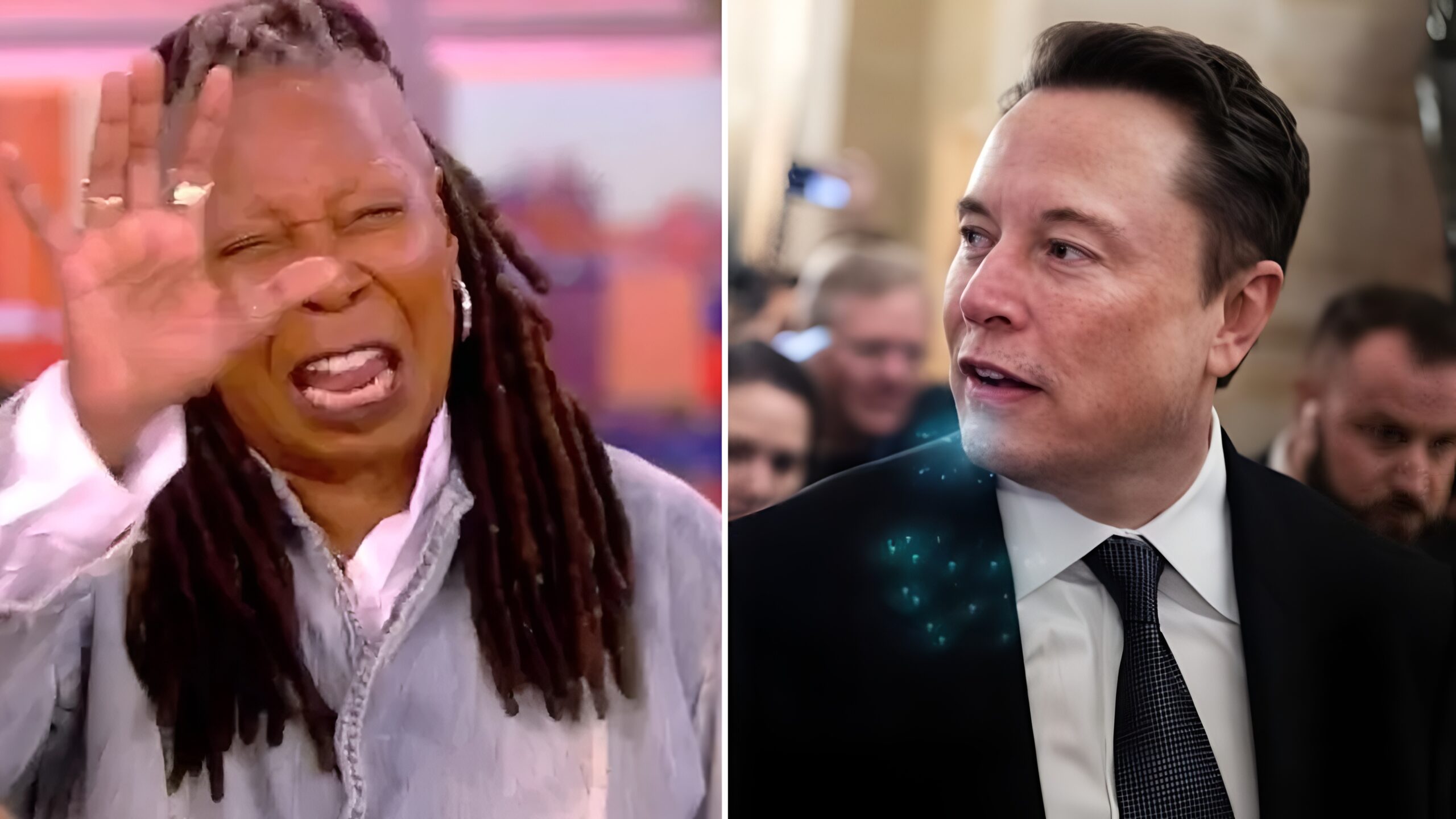 Elon Musk Whoopi The View Exit