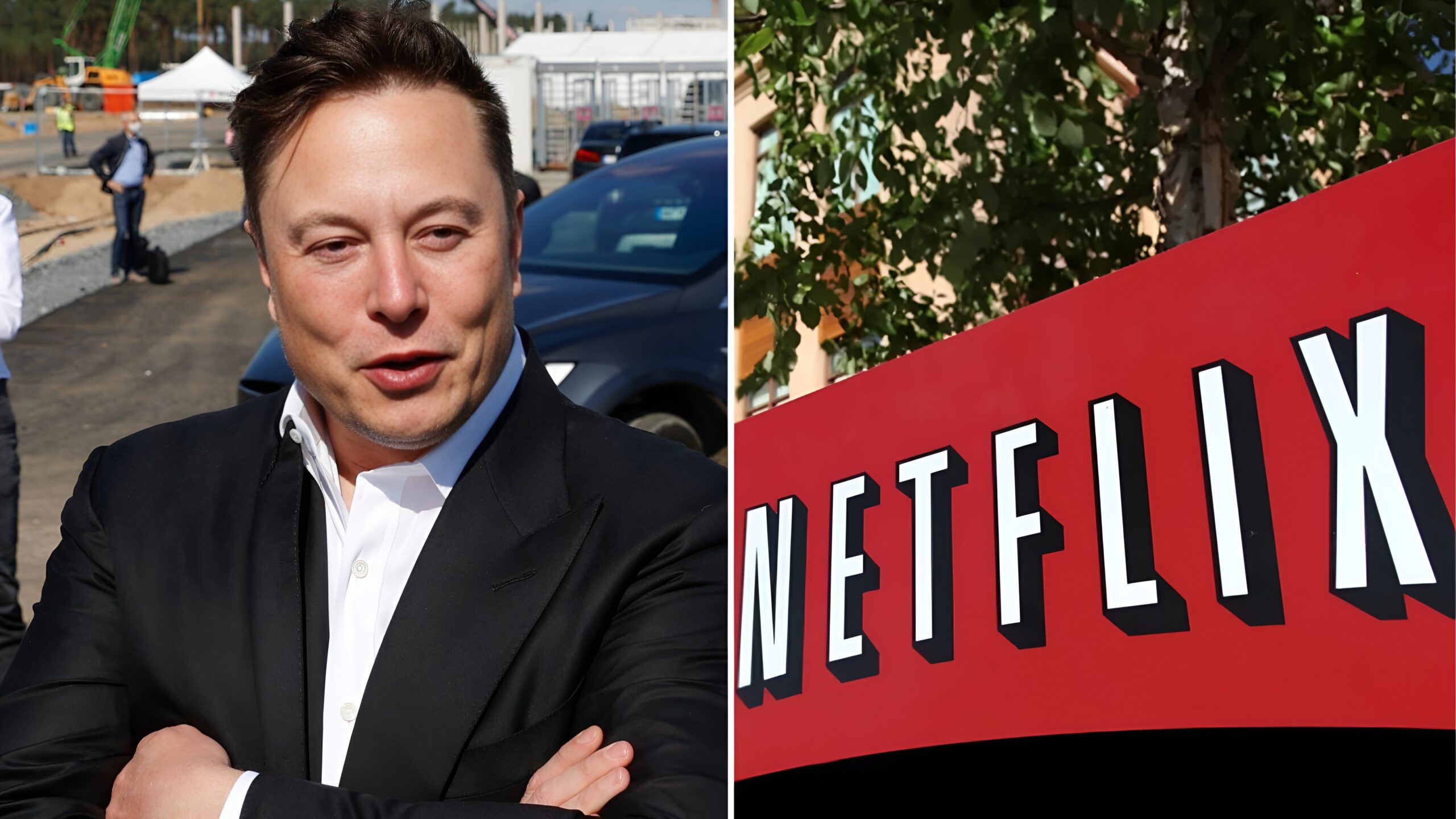 Netflix Elon Musk Boycott