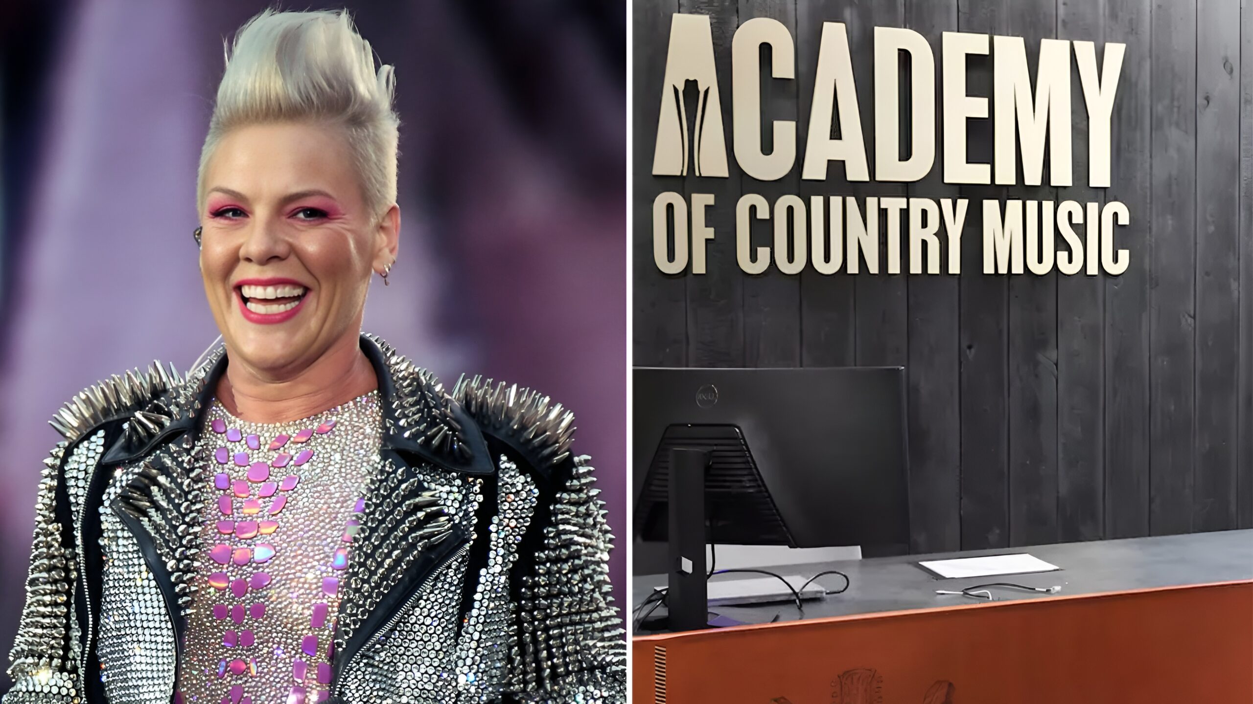 Singer P!nk ACMA