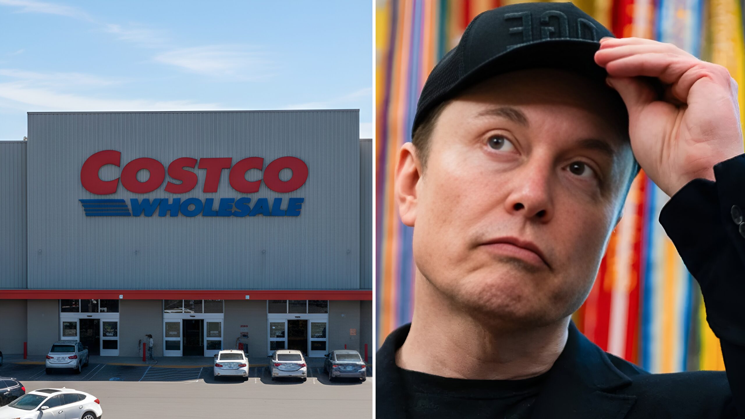 Elon Musk Costco