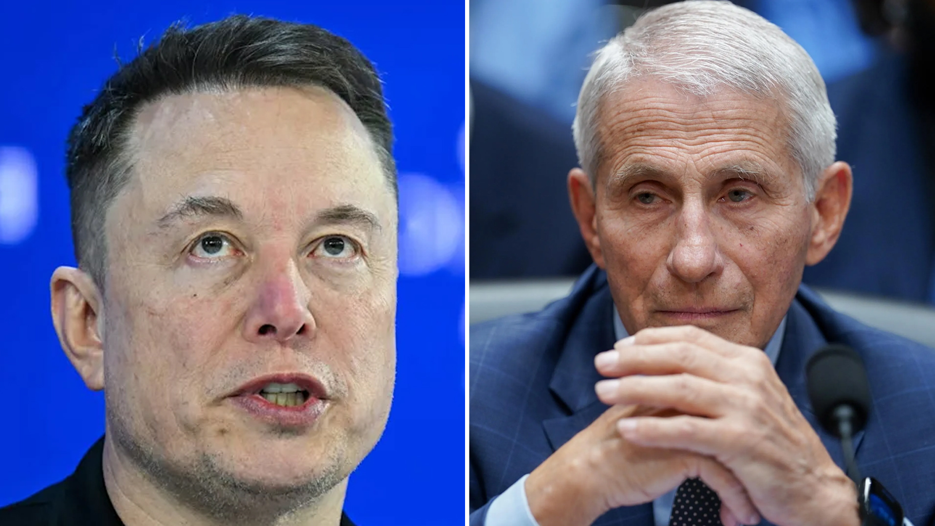 Elon Musk Anthony Fauci Purchase