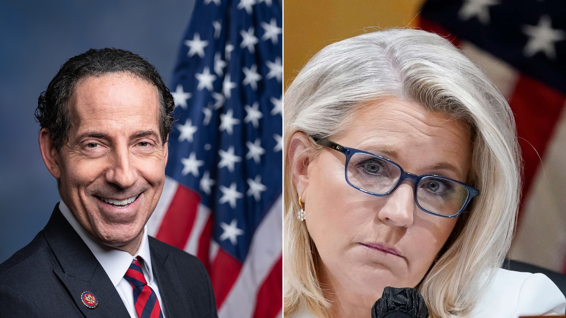 Jamie Raskin Liz Cheney